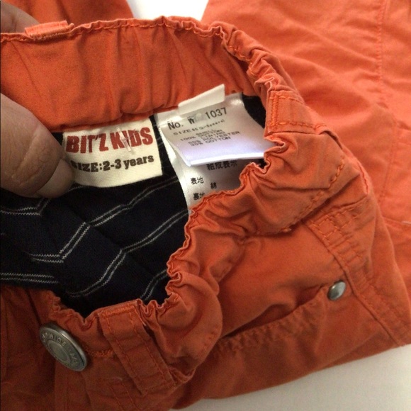 Bit’z Kids Winter Pants Boy Toddler Sz 2-3 Years - Picture 15 of 15